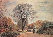 Road in Seine et Marne